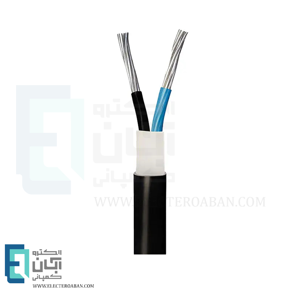 کابل آلومینیوم 2 در 25 متری پرتو الکتریک